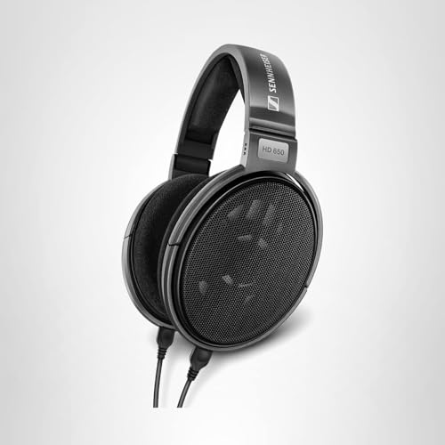 Sennheiser Consumer Audio HD 650 - Audiophile Hi-Res Open Back Dynamic Headphone, Titan